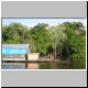 Jungle Home.jpg